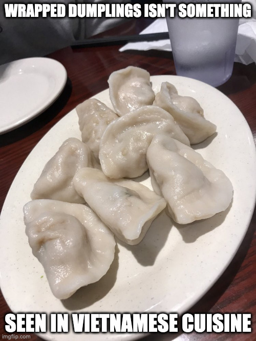 Chinese-Style Dumplings in a Vietnamese Cuisine | WRAPPED DUMPLINGS ISN'T SOMETHING; SEEN IN VIETNAMESE CUISINE | image tagged in dumpling,memes,food | made w/ Imgflip meme maker