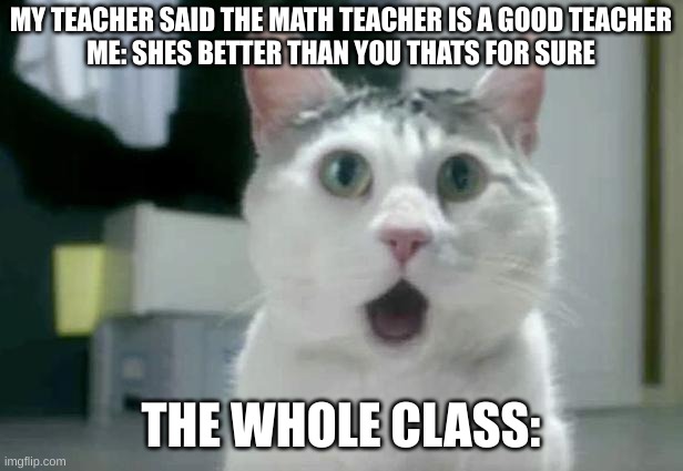 OMG Cat | MY TEACHER SAID THE MATH TEACHER IS A GOOD TEACHER
ME: SHES BETTER THAN YOU THATS FOR SURE; THE WHOLE CLASS: | image tagged in memes,omg cat | made w/ Imgflip meme maker