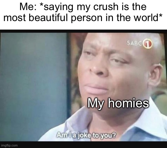 They sure are hot fr | Me: *saying my crush is the most beautiful person in the world*; My homies | image tagged in am i a joke to you,memes,funny,homies,gay | made w/ Imgflip meme maker