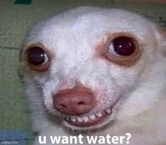 U want water | image tagged in u want water | made w/ Imgflip meme maker