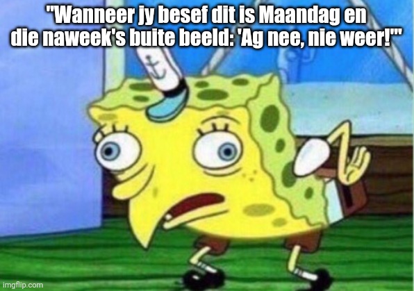 Mocking Spongebob Meme | "Wanneer jy besef dit is Maandag en die naweek's buite beeld: 'Ag nee, nie weer!'" | image tagged in memes,mocking spongebob | made w/ Imgflip meme maker