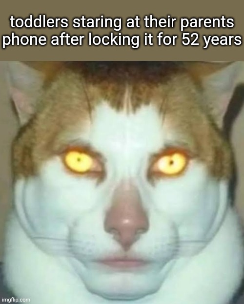 Sigma Cat | toddlers staring at their parents phone after locking it for 52 years | image tagged in sigma cat | made w/ Imgflip meme maker