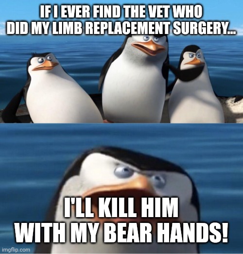 Wouldn't that make you | IF I EVER FIND THE VET WHO DID MY LIMB REPLACEMENT SURGERY... I'LL KILL HIM WITH MY BEAR HANDS! | image tagged in wouldn't that make you | made w/ Imgflip meme maker