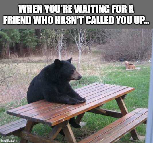 Waiting... WAITING.... | WHEN YOU'RE WAITING FOR A FRIEND WHO HASN'T CALLED YOU UP... | image tagged in patient bear,waiting | made w/ Imgflip meme maker