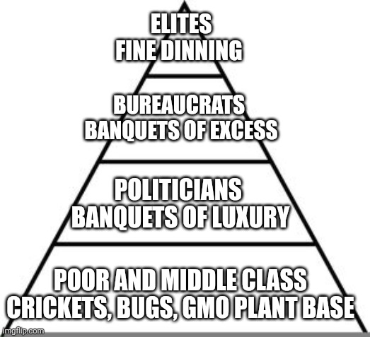 Socialist food pyramid | ELITES
FINE DINNING; BUREAUCRATS 
BANQUETS OF EXCESS; POLITICIANS 
BANQUETS OF LUXURY; POOR AND MIDDLE CLASS
CRICKETS, BUGS, GMO PLANT BASE | image tagged in food pyramid | made w/ Imgflip meme maker