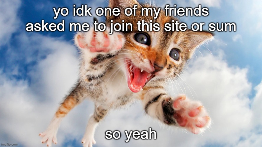 yo idk one of my friends asked me to join this site or sum; so yeah | made w/ Imgflip meme maker