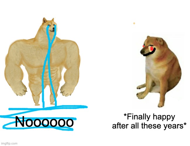DO NOT TAKE THIS THE WRONG WAY I BEG U. I meant this to be like, finally cheems is the happy one. | Noooooo; *Finally happy after all these years* | image tagged in memes,buff doge vs cheems,furrfluf | made w/ Imgflip meme maker