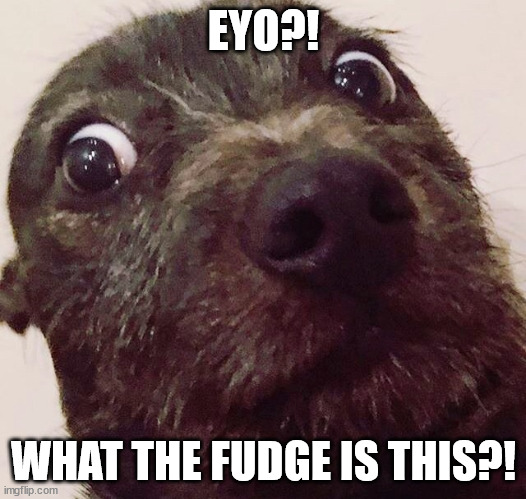 What the fudge dogg | EYO?! WHAT THE FUDGE IS THIS?! | image tagged in what the fudge dogg | made w/ Imgflip meme maker
