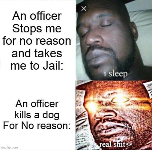 YOU CANNOT DO THATH OR I COME FOR YOU. | An officer Stops me for no reason and takes me to Jail:; An officer kills a dog For No reason: | image tagged in memes,sleeping shaq,dogs | made w/ Imgflip meme maker