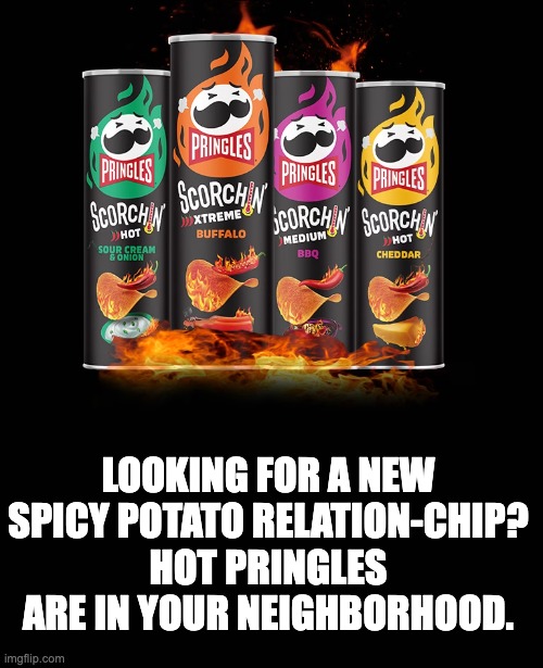 Hot | LOOKING FOR A NEW SPICY POTATO RELATION-CHIP? HOT PRINGLES ARE IN YOUR NEIGHBORHOOD. | image tagged in dad joke | made w/ Imgflip meme maker