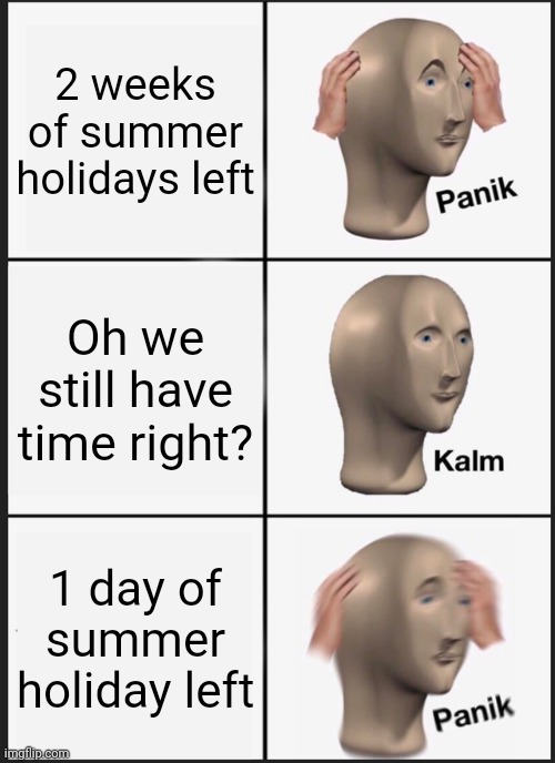 This be so true tho ? | 2 weeks of summer holidays left; Oh we still have time right? 1 day of summer holiday left | image tagged in memes,panik kalm panik,funny memes | made w/ Imgflip meme maker