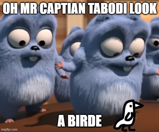 Oh mr capitan tabodi look | OH MR CAPTIAN TABODI LOOK; A BIRDE | image tagged in oh mr capitan tabodi look | made w/ Imgflip meme maker