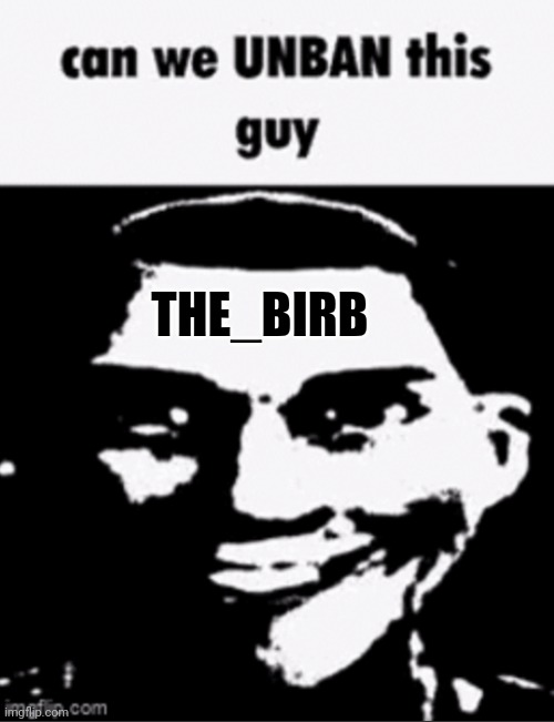 why's he banned? I just want to know | THE_BIRB | image tagged in can we unban this guy | made w/ Imgflip meme maker