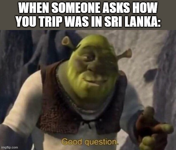 Shrek good question | WHEN SOMEONE ASKS HOW YOU TRIP WAS IN SRI LANKA: | image tagged in shrek good question | made w/ Imgflip meme maker