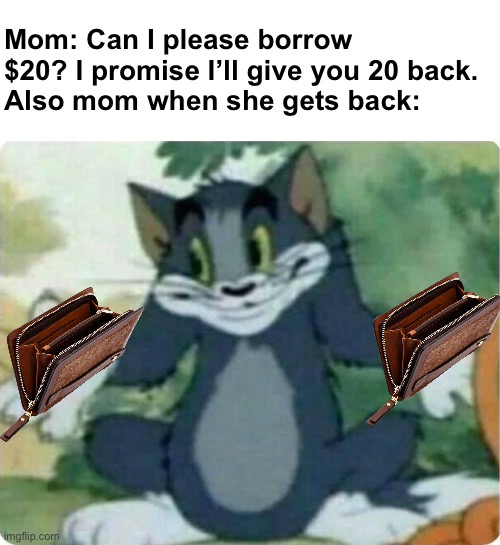 this is too relatable | Mom: Can I please borrow $20? I promise I’ll give you 20 back.
Also mom when she gets back: | image tagged in tom shrugging | made w/ Imgflip meme maker