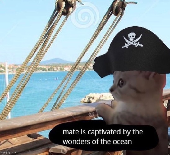 Hi chat | made w/ Imgflip meme maker