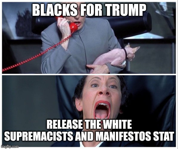 Dr. Evil on phone with Frau meme | BLACKS FOR TRUMP; RELEASE THE WHITE SUPREMACISTS AND MANIFESTOS STAT | image tagged in dr evil on phone with frau meme | made w/ Imgflip meme maker