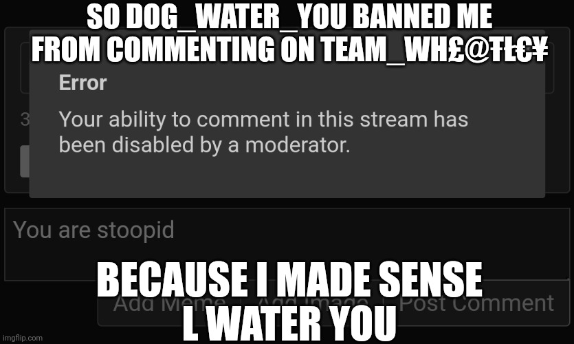 Yes, i wanted to comment "youre stoopid" cuz like, he is | SO DOG_WATER_YOU BANNED ME FROM COMMENTING ON TEAM_WH£@ŦŁ€¥; BECAUSE I MADE SENSE
L WATER YOU | made w/ Imgflip meme maker