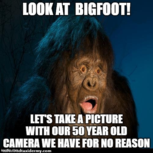 Seriously why is every single bigfoot photo blurry as crap? | LOOK AT  BIGFOOT! LET'S TAKE A PICTURE WITH OUR 50 YEAR OLD CAMERA WE HAVE FOR NO REASON | image tagged in big foot | made w/ Imgflip meme maker