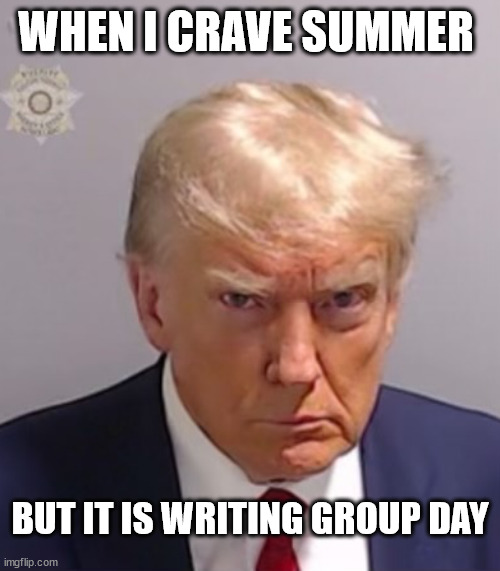 Trump writing group | WHEN I CRAVE SUMMER; BUT IT IS WRITING GROUP DAY | image tagged in donald trump mugshot,summer,writing group,writing | made w/ Imgflip meme maker