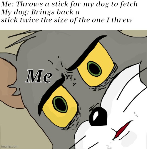 Unsettled Tom Meme | Me: Throws a stick for my dog to fetch 
My dog: Brings back a stick twice the size of the one I threw; Me | image tagged in memes,unsettled tom | made w/ Imgflip meme maker