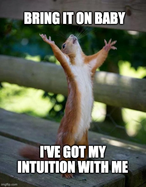 Happy Squirrel | BRING IT ON BABY; I'VE GOT MY INTUITION WITH ME | image tagged in happy squirrel | made w/ Imgflip meme maker