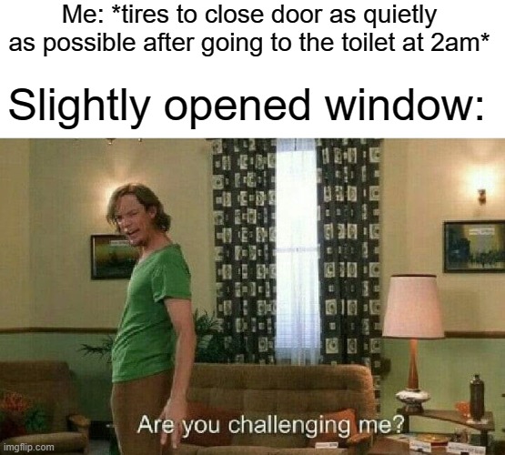 oh fu- | Me: *tires to close door as quietly as possible after going to the toilet at 2am*; Slightly opened window: | image tagged in are you challenging me | made w/ Imgflip meme maker