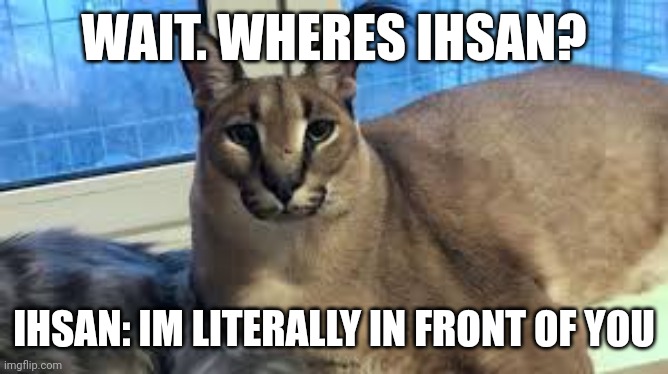 Floppa | WAIT. WHERES IHSAN? IHSAN: IM LITERALLY IN FRONT OF YOU | image tagged in floppa | made w/ Imgflip meme maker