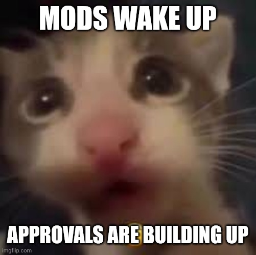 cat gasp | MODS WAKE UP; APPROVALS ARE BUILDING UP | image tagged in cat gasp | made w/ Imgflip meme maker