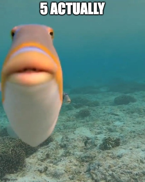 staring fish | 5 ACTUALLY | image tagged in staring fish | made w/ Imgflip meme maker