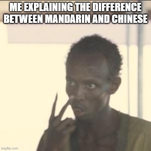 Look At Me Meme | ME EXPLAINING THE DIFFERENCE BETWEEN MANDARIN AND CHINESE | image tagged in memes,look at me | made w/ Imgflip meme maker