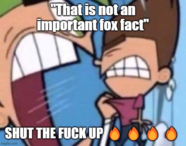 Cosmo yelling at timmy | "That is not an important fox fact"; SHUT THE FUCK UP 🔥🔥🔥🔥 | image tagged in cosmo yelling at timmy | made w/ Imgflip meme maker