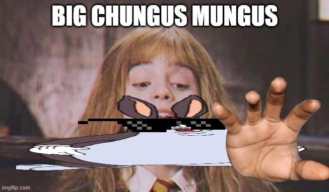 It's leviosa not leviosaa | BIG CHUNGUS MUNGUS | image tagged in it's leviosa not leviosaa | made w/ Imgflip meme maker