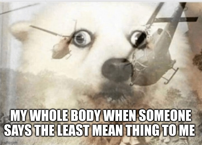 feel this | MY WHOLE BODY WHEN SOMEONE SAYS THE LEAST MEAN THING TO ME | image tagged in ptsd dog,frozen | made w/ Imgflip meme maker