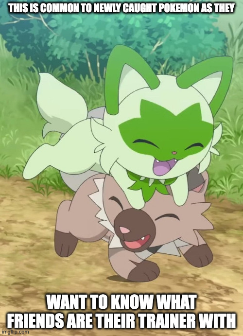 Liko's Sprigatito Playing WIth Rockruff | THIS IS COMMON TO NEWLY CAUGHT POKEMON AS THEY; WANT TO KNOW WHAT FRIENDS ARE THEIR TRAINER WITH | image tagged in sprigatito,rockruff,pokemon,memes | made w/ Imgflip meme maker