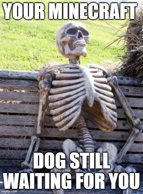 Waiting Skeleton | YOUR MINECRAFT; DOG STILL WAITING FOR YOU | image tagged in memes,waiting skeleton | made w/ Imgflip meme maker
