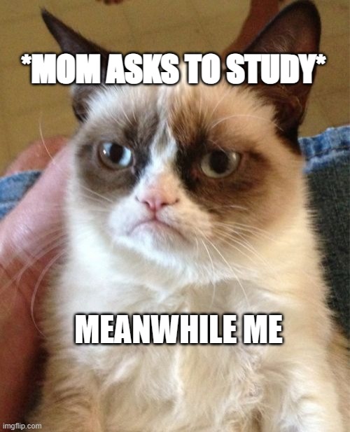 bkjigg | *MOM ASKS TO STUDY*; MEANWHILE ME | image tagged in memes,grumpy cat | made w/ Imgflip meme maker
