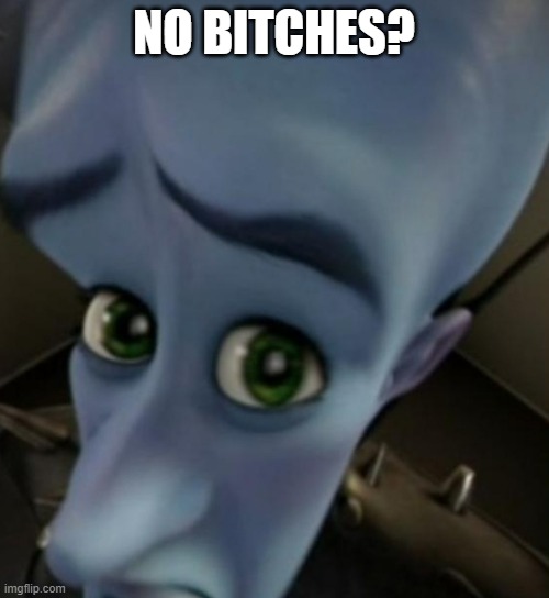 Megamind no bitches | NO BITCHES? | image tagged in megamind no bitches | made w/ Imgflip meme maker