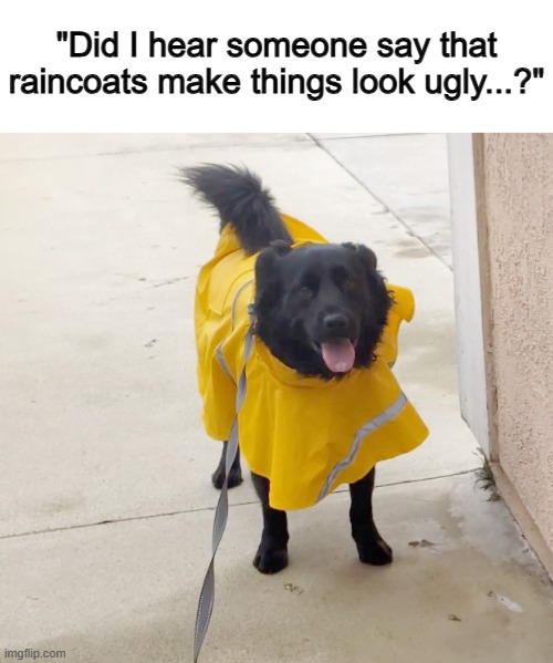 ... | "Did I hear someone say that raincoats make things look ugly...?" | made w/ Imgflip meme maker