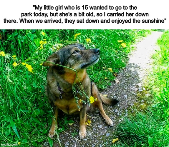 That's so cute :D | "My little girl who is 15 wanted to go to the park today, but she's a bit old, so I carried her down there. When we arrived, they sat down and enjoyed the sunshine" | made w/ Imgflip meme maker