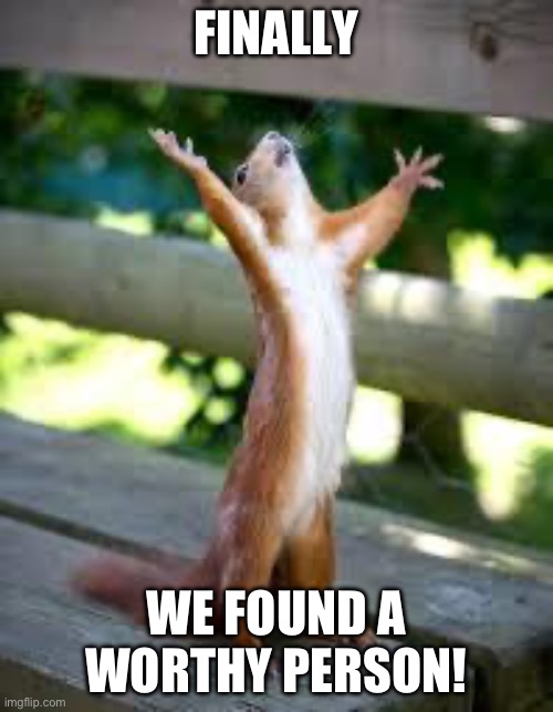 Praise Squirrel | FINALLY WE FOUND A WORTHY PERSON! | image tagged in praise squirrel | made w/ Imgflip meme maker