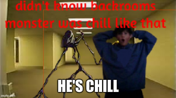 Backrooms | HE'S CHILL | image tagged in backrooms,chill,monster | made w/ Imgflip meme maker