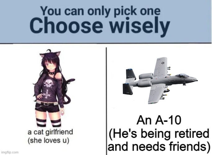 Choose wisely | An A-10
(He's being retired and needs friends) | image tagged in choose wisely | made w/ Imgflip meme maker