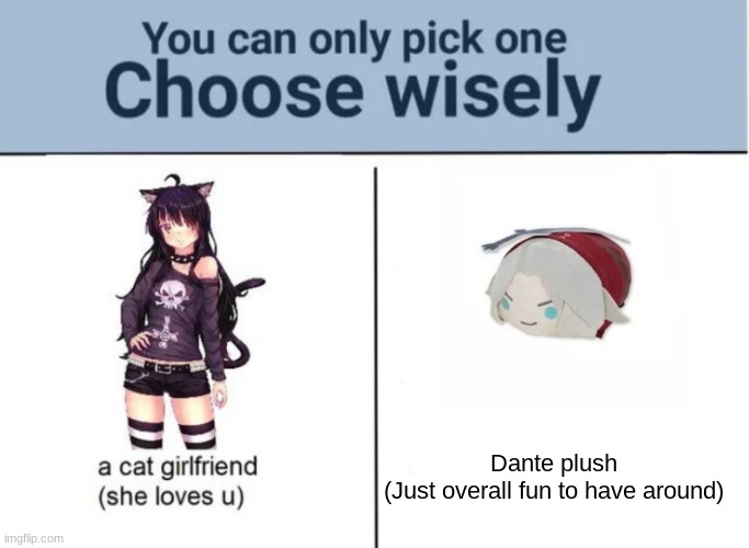 Choose wisely | Dante plush
(Just overall fun to have around) | image tagged in choose wisely | made w/ Imgflip meme maker