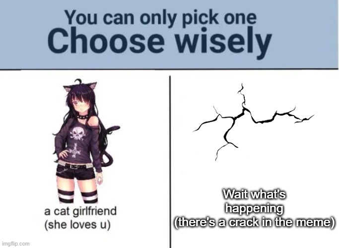 Choose wisely | Wait what's happening
(there's a crack in the meme) | image tagged in choose wisely | made w/ Imgflip meme maker