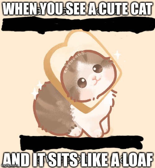 They do this every once in a while | WHEN YOU SEE A CUTE CAT; AND IT SITS LIKE A LOAF | image tagged in the cat loaf | made w/ Imgflip meme maker