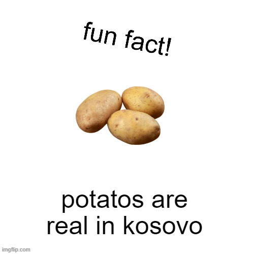 chat im back | potatos are real in kosovo | image tagged in fun fact | made w/ Imgflip meme maker