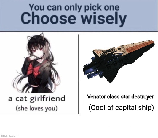 Choose wisely | Venator class star destroyer; (Cool af capital ship) | image tagged in choose wisely | made w/ Imgflip meme maker