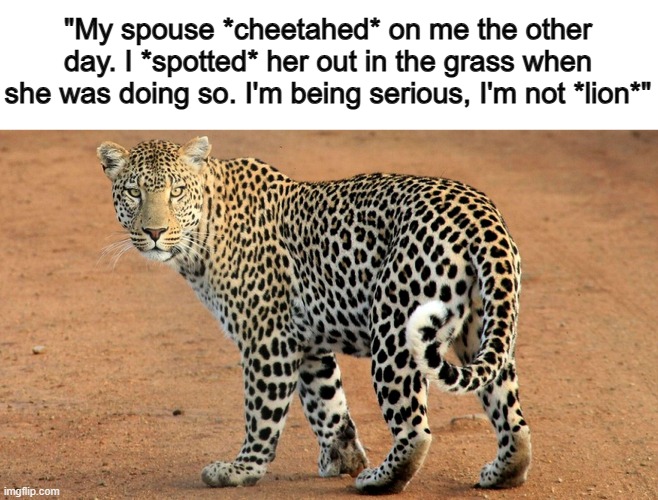 Pun overload :) | "My spouse *cheetahed* on me the other day. I *spotted* her out in the grass when she was doing so. I'm being serious, I'm not *lion*" | made w/ Imgflip meme maker