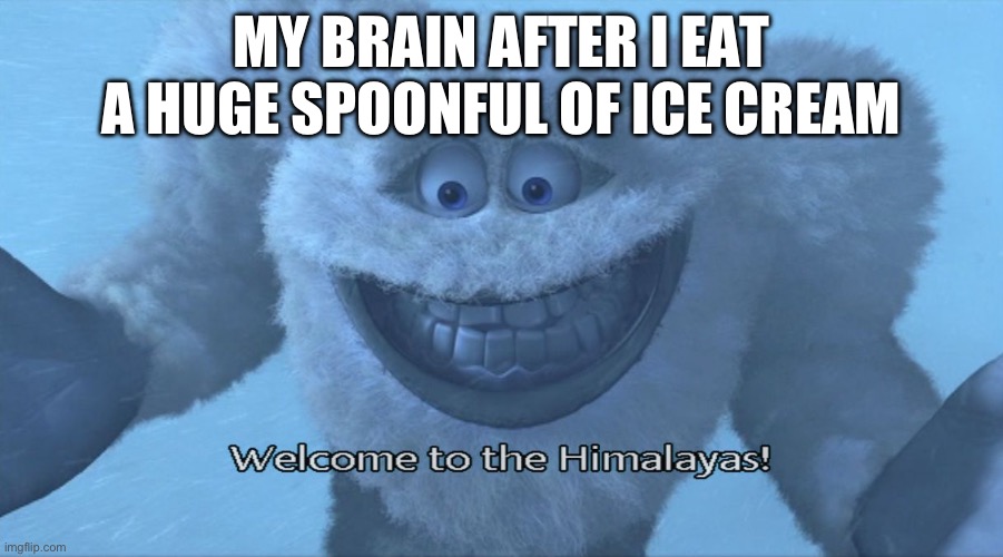 BRAIN FREEEEEEEZE | MY BRAIN AFTER I EAT A HUGE SPOONFUL OF ICE CREAM | image tagged in welcome to the himalayas | made w/ Imgflip meme maker